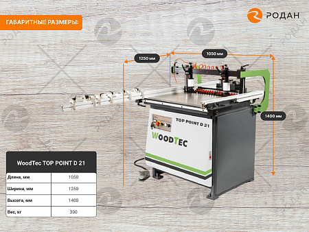 Станок сверлильно-присадочный WoodTec TOP POINT D 21